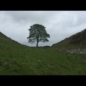 Meet your Posher, Rrene